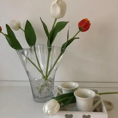 Feriehus Ca Lubella Carrara